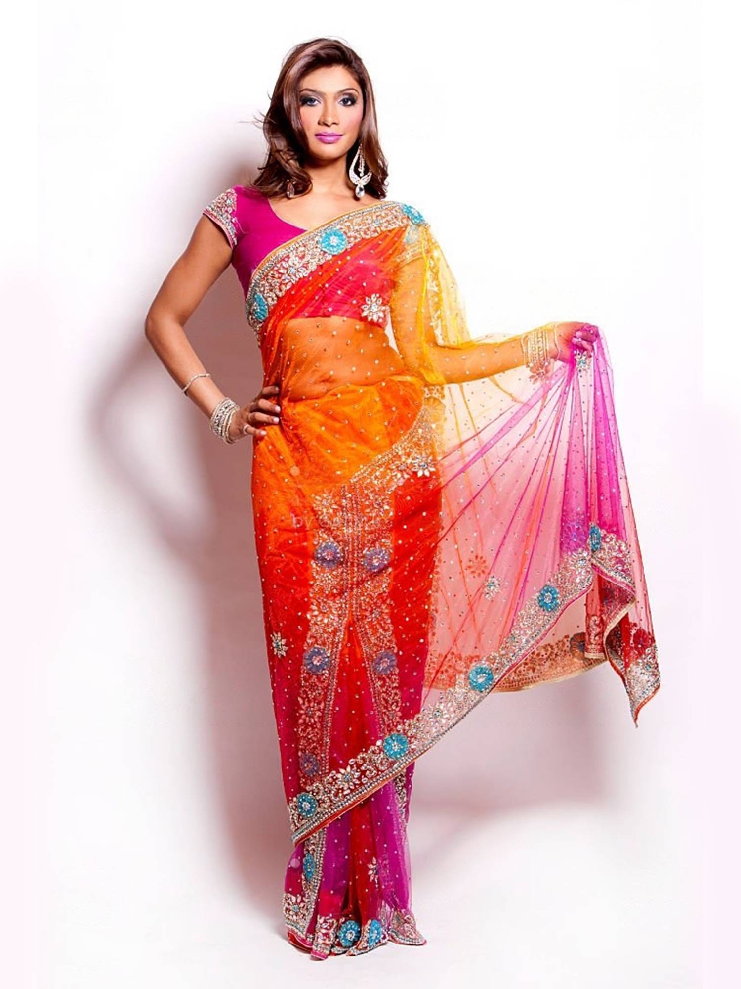 Multi Color Net Work Saree