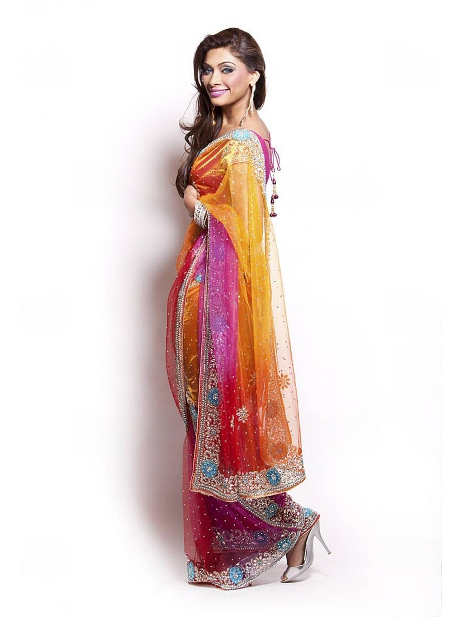 Multi Color Net Work Saree