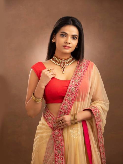 Cream Net Saree With Red Blouse